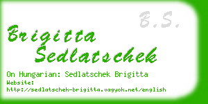 brigitta sedlatschek business card